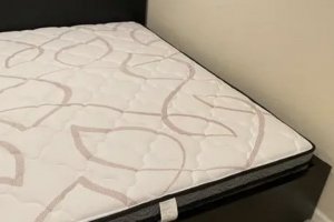 椰棕床垫和乳胶床垫哪个好些？椰棕床垫和乳胶床垫的区别